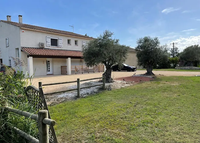Studio 40M2 Avec Terrasse Le Mas De Lauriane